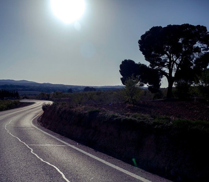 Wijnboer aan het woord: Casas del Rey