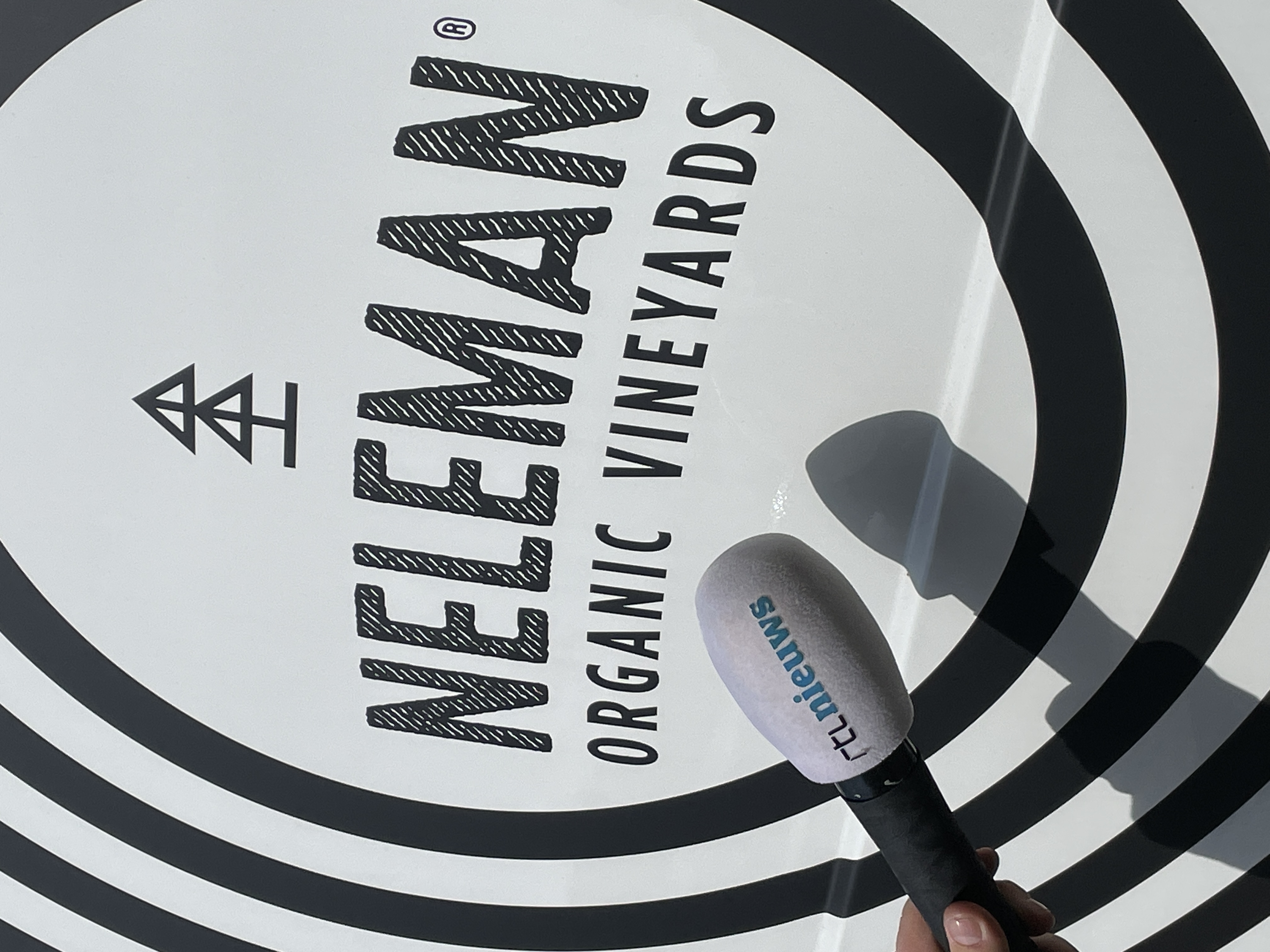 Neleman in RTL4 Nieuws