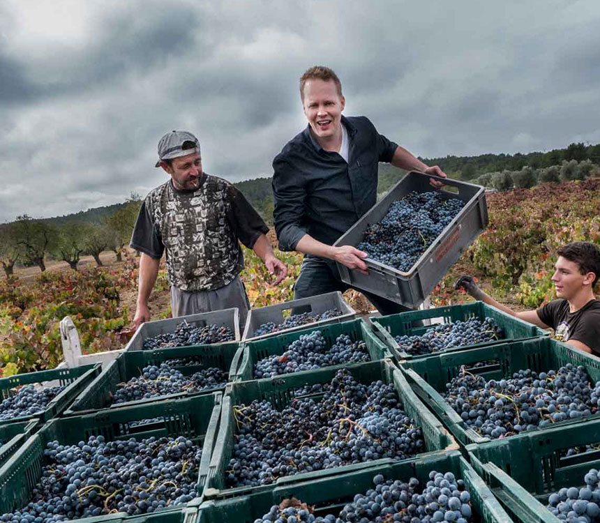 Een jaar in de wijngaard
