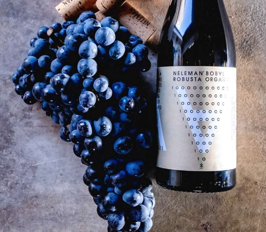 "Beter dan menig Rioja of Ribera"