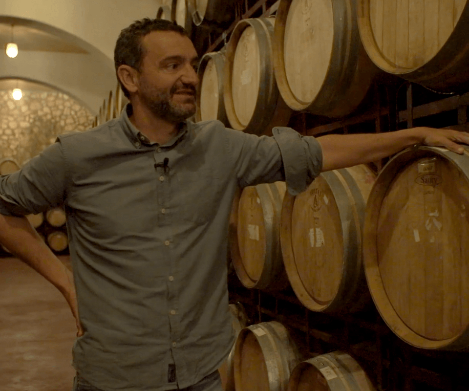 In de wijnkelder van Neleman