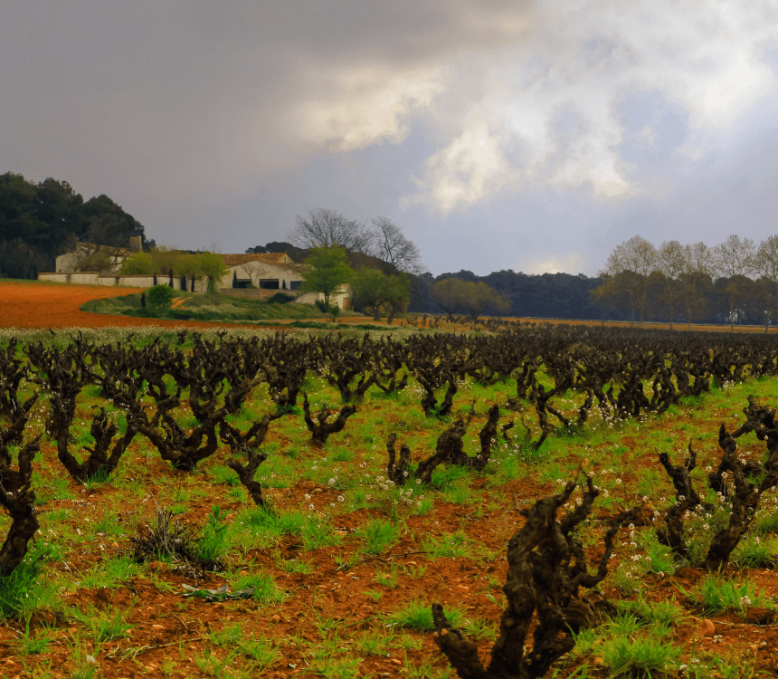 Alles wat je moet weten over het klimaat in Valencia