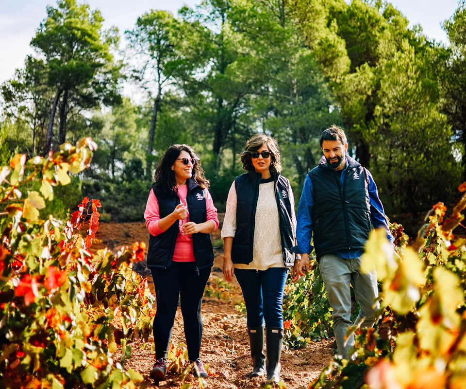 Waarom zou je kiezen voor biologische wijn?